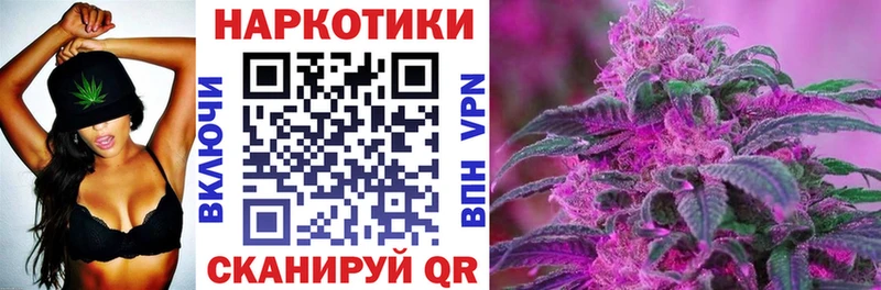 Какие есть наркотики Дмитриев A PVP  Бошки Шишки  Галлюциногенные грибы  Гашиш  МЕФ  Амфетамин 