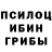 Псилоцибиновые грибы ЛСД Money Kendal